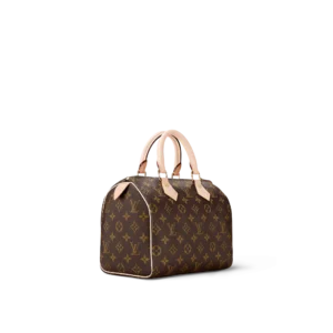 Louis Vuitton Speedy 25 | Monogram Canvas