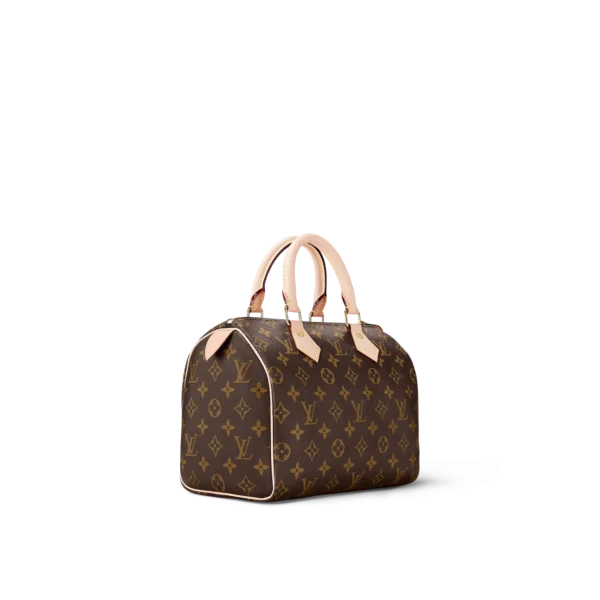 louis vuitton speedy 25 monogram canvas handbags M41109 PM1 Side view