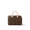 louis vuitton speedy 30 monogram canvas handbags M41108 PM1 Back view