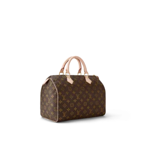 Louis Vuitton Speedy 30 | Monogram Canvas